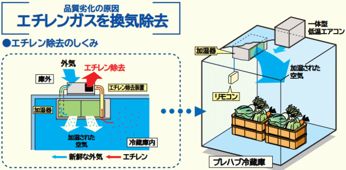 ベストウェッター